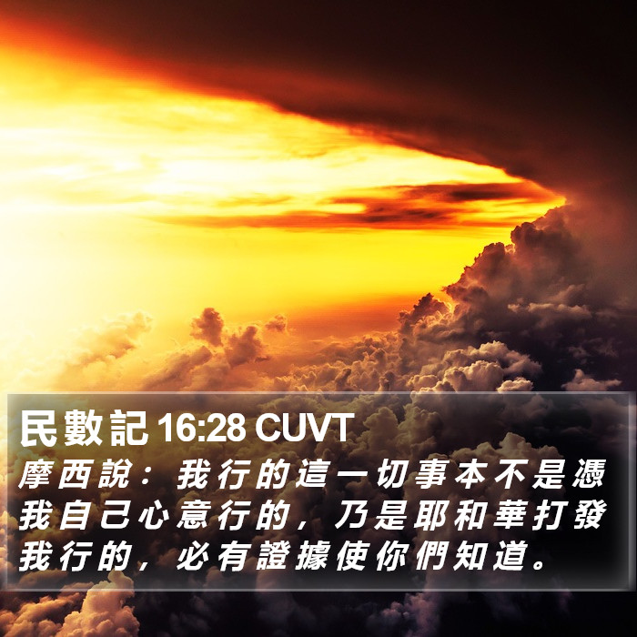 民 數 記 16:28 CUVT Bible Study