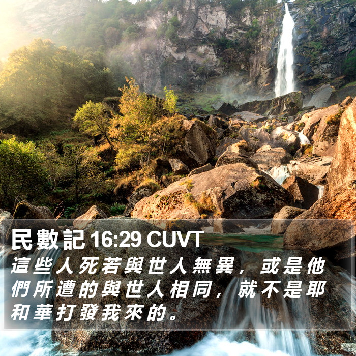 民 數 記 16:29 CUVT Bible Study