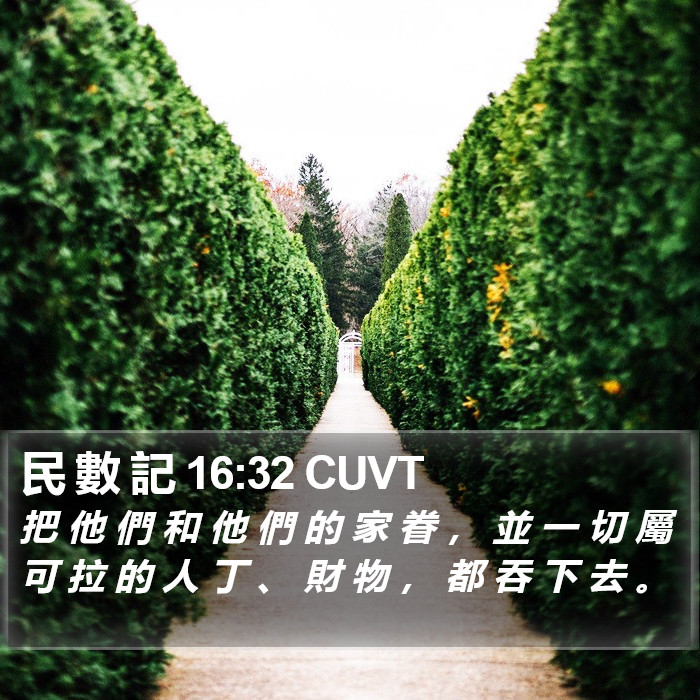 民 數 記 16:32 CUVT Bible Study