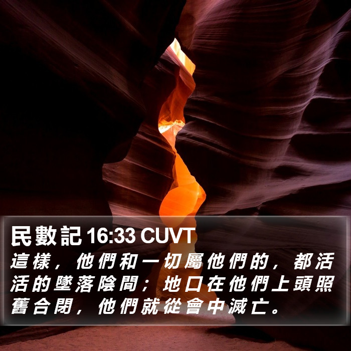 民 數 記 16:33 CUVT Bible Study