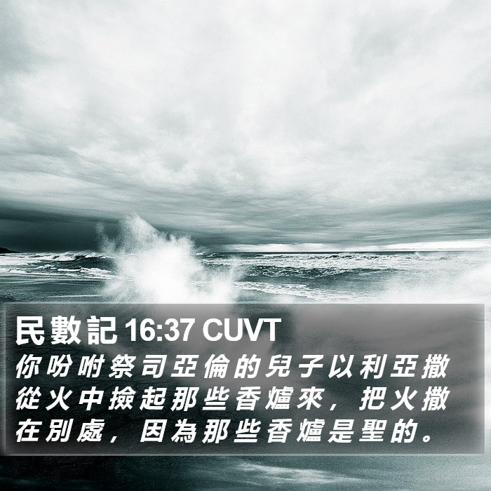 民 數 記 16:37 CUVT Bible Study