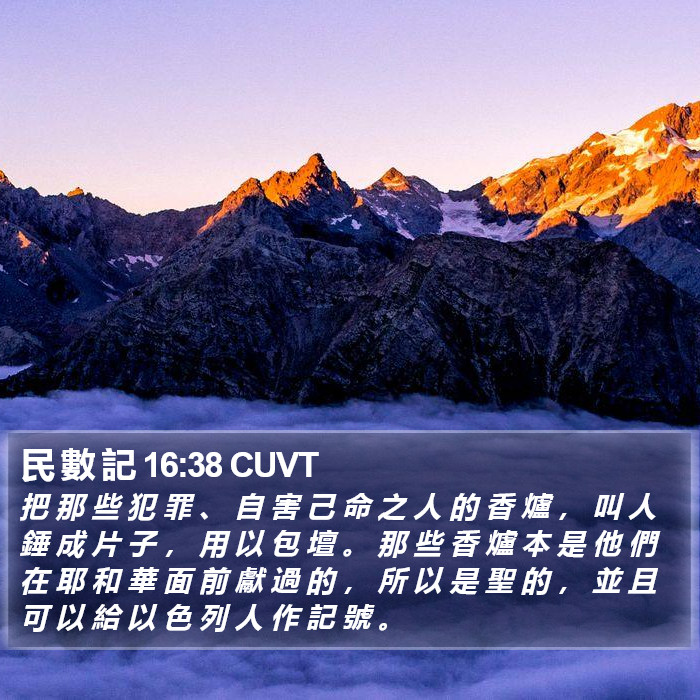 民 數 記 16:38 CUVT Bible Study