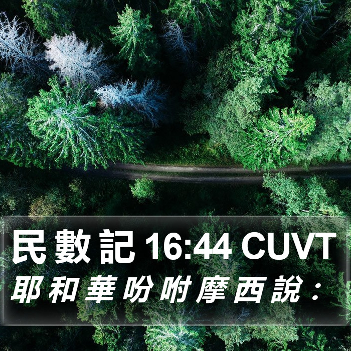 民 數 記 16:44 CUVT Bible Study