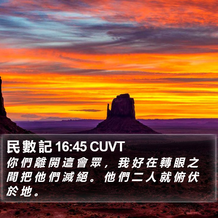 民 數 記 16:45 CUVT Bible Study