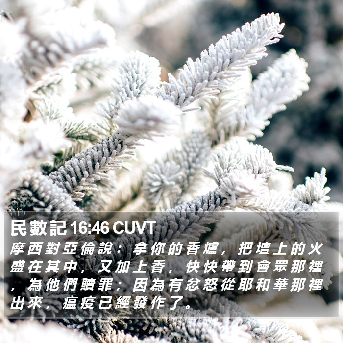 民 數 記 16:46 CUVT Bible Study