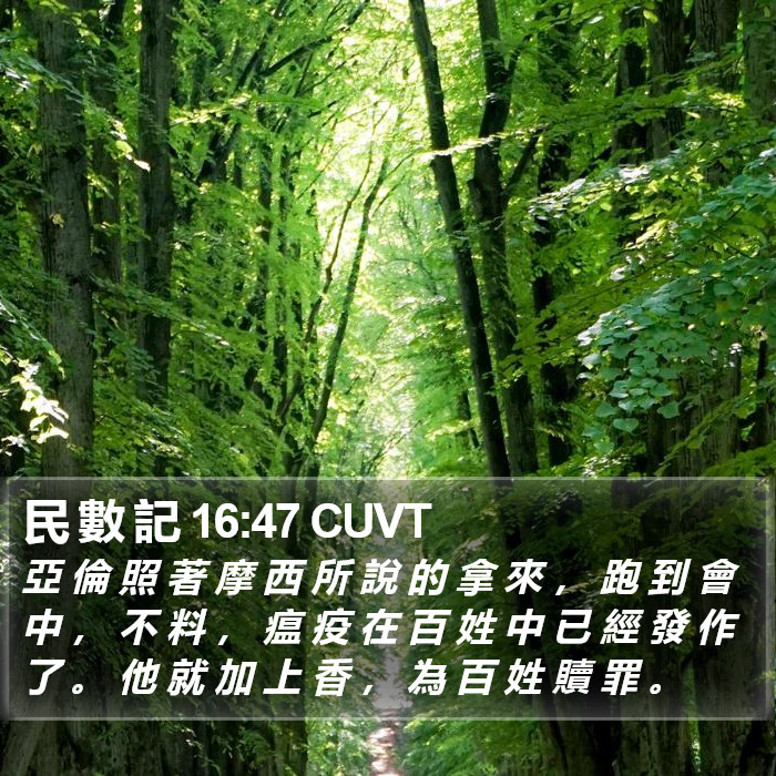 民 數 記 16:47 CUVT Bible Study