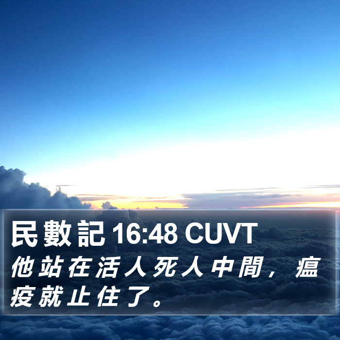 民 數 記 16:48 CUVT Bible Study