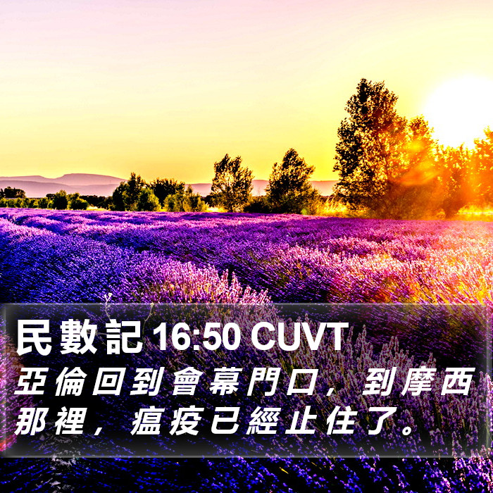 民 數 記 16:50 CUVT Bible Study