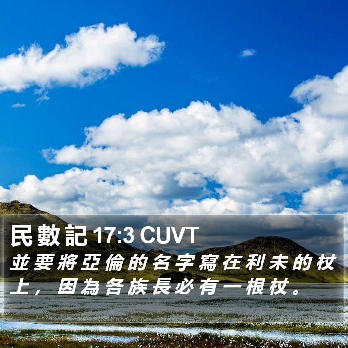 民 數 記 17:3 CUVT Bible Study