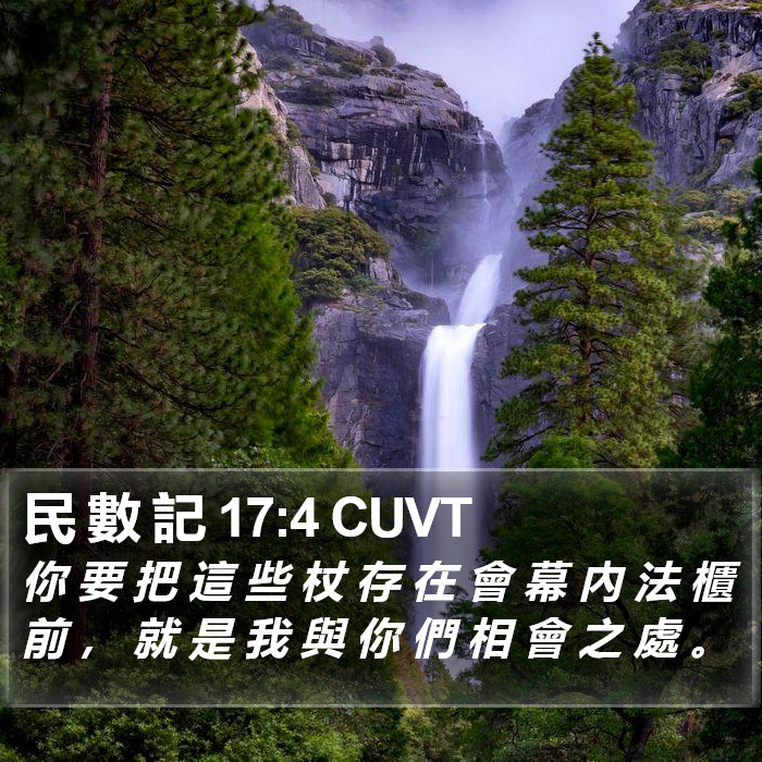 民 數 記 17:4 CUVT Bible Study