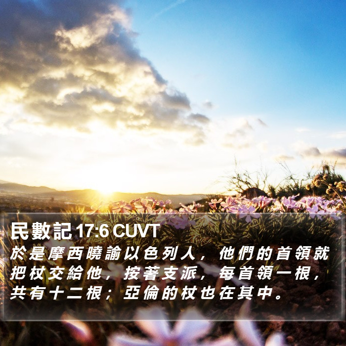 民 數 記 17:6 CUVT Bible Study