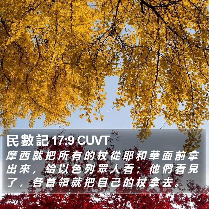 民 數 記 17:9 CUVT Bible Study