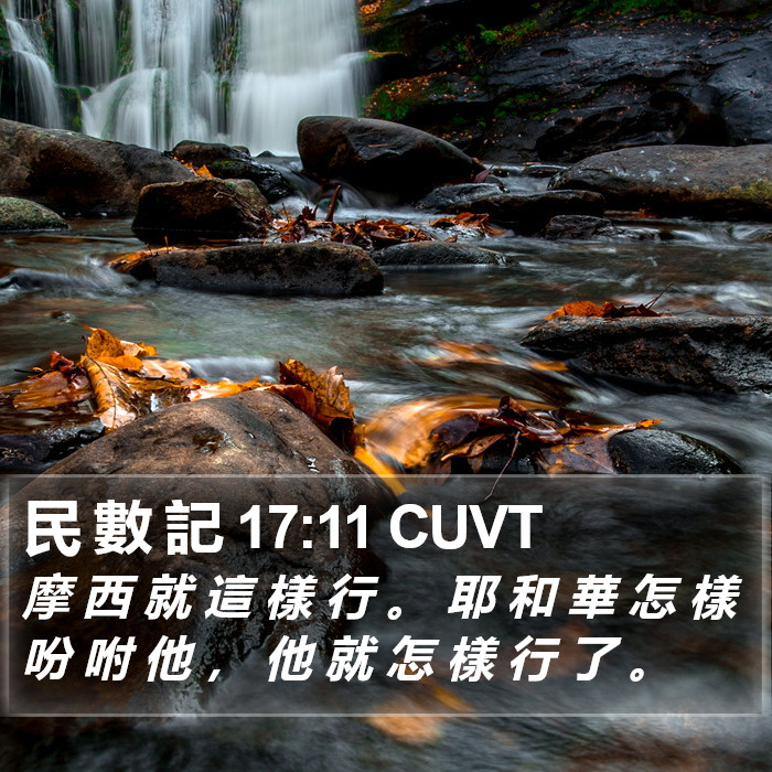 民 數 記 17:11 CUVT Bible Study