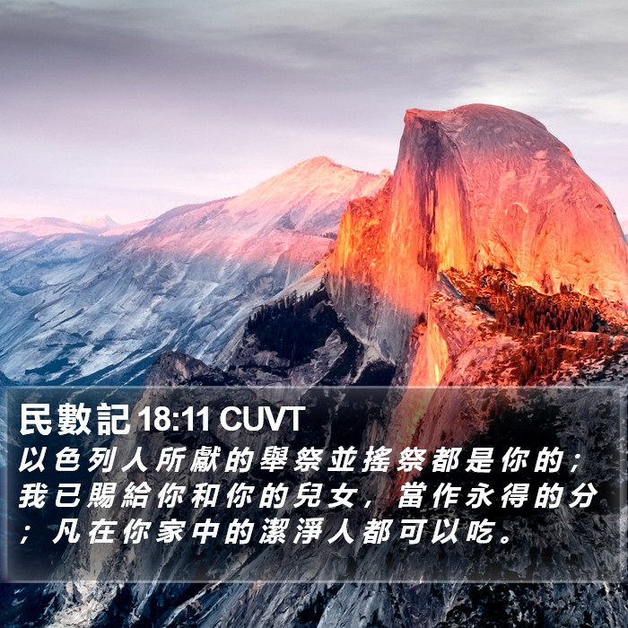民 數 記 18:11 CUVT Bible Study