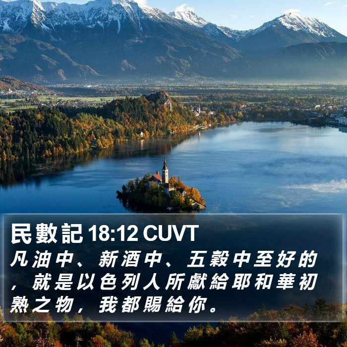 民 數 記 18:12 CUVT Bible Study