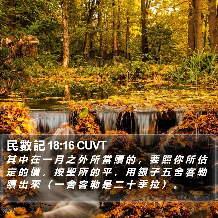 民 數 記 18:16 CUVT Bible Study