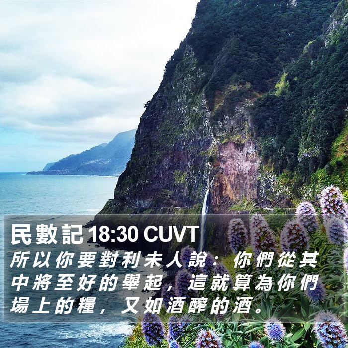 民 數 記 18:30 CUVT Bible Study