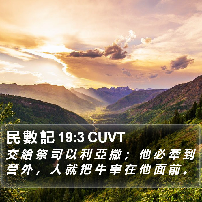 民 數 記 19:3 CUVT Bible Study