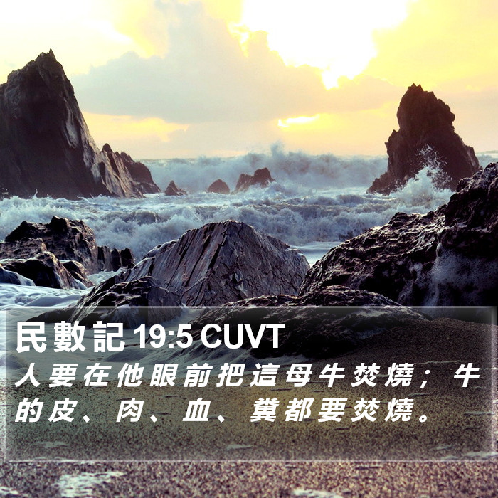 民 數 記 19:5 CUVT Bible Study