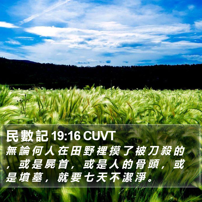 民 數 記 19:16 CUVT Bible Study