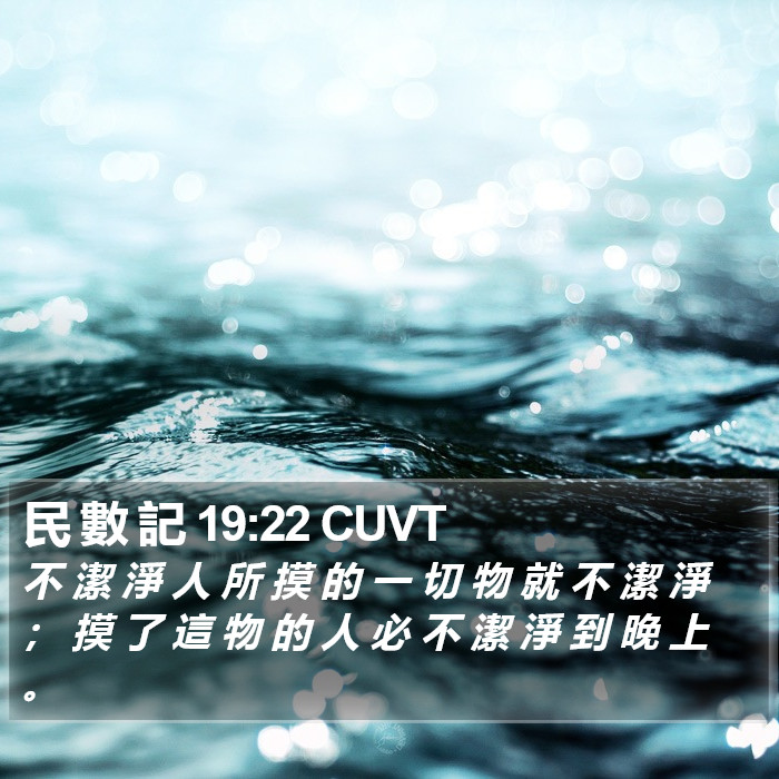 民 數 記 19:22 CUVT Bible Study