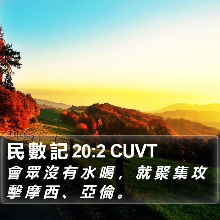 民 數 記 20:2 CUVT Bible Study