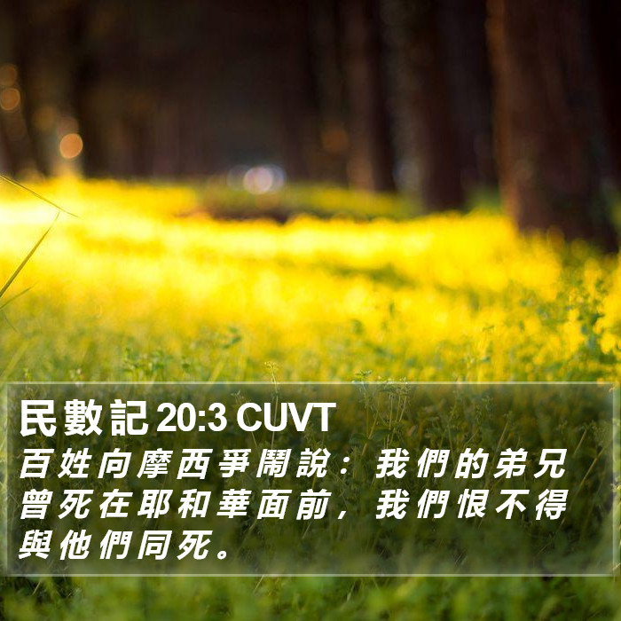 民 數 記 20:3 CUVT Bible Study
