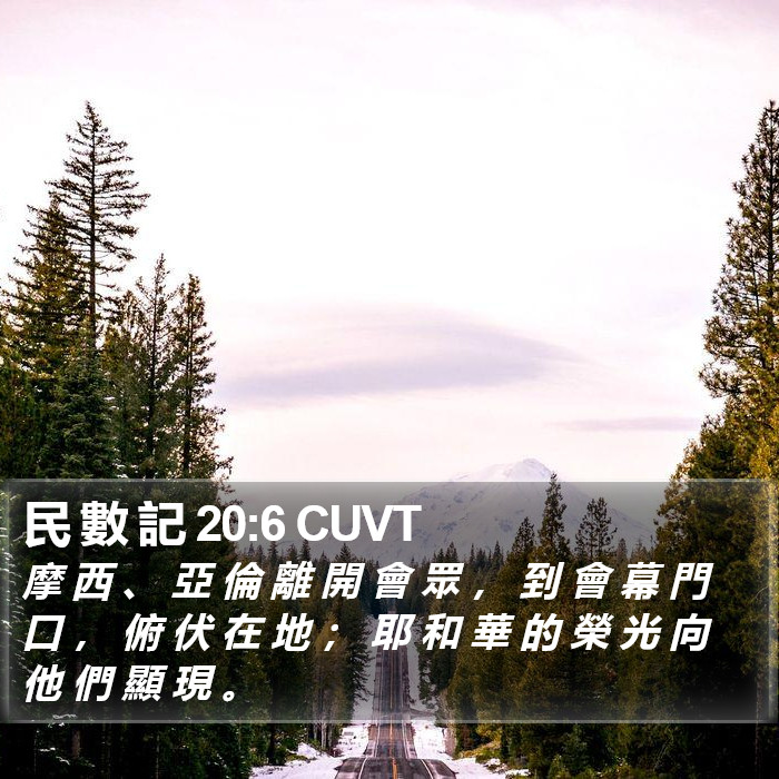 民 數 記 20:6 CUVT Bible Study