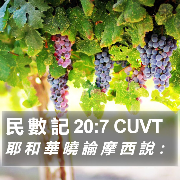 民 數 記 20:7 CUVT Bible Study
