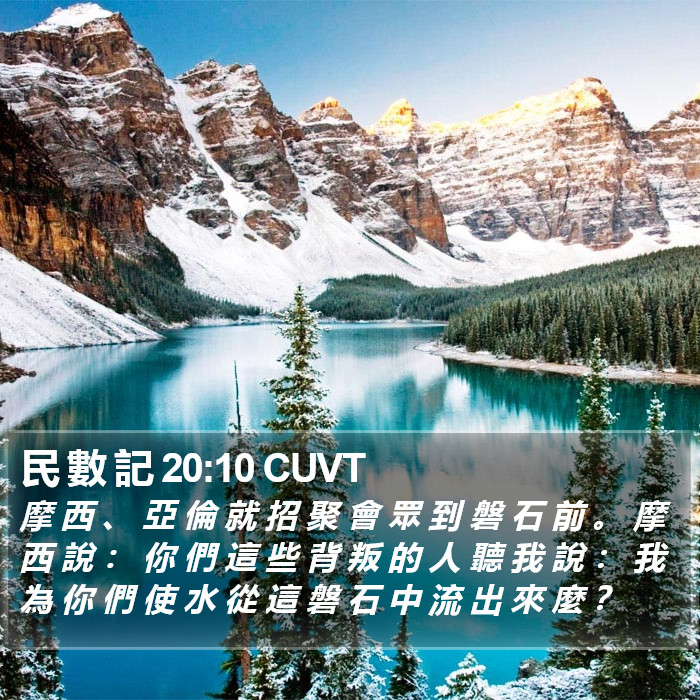民 數 記 20:10 CUVT Bible Study
