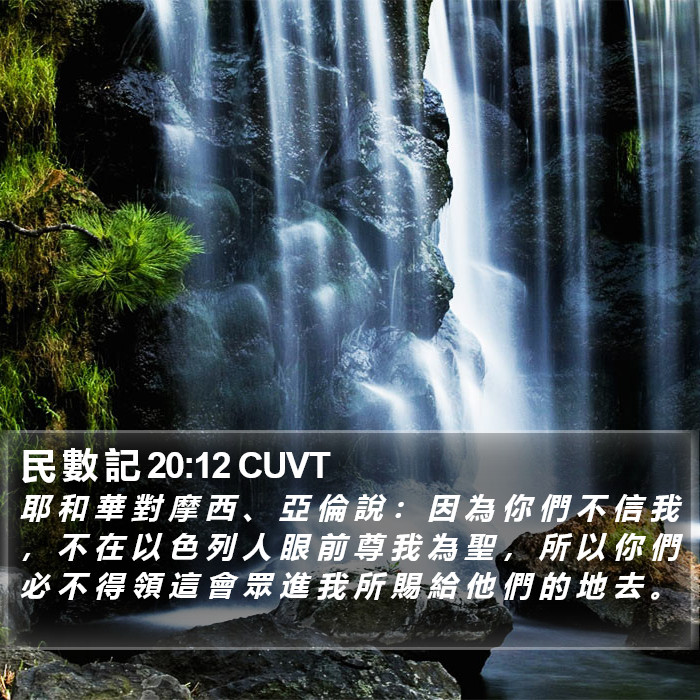 民 數 記 20:12 CUVT Bible Study