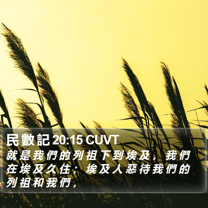 民 數 記 20:15 CUVT Bible Study