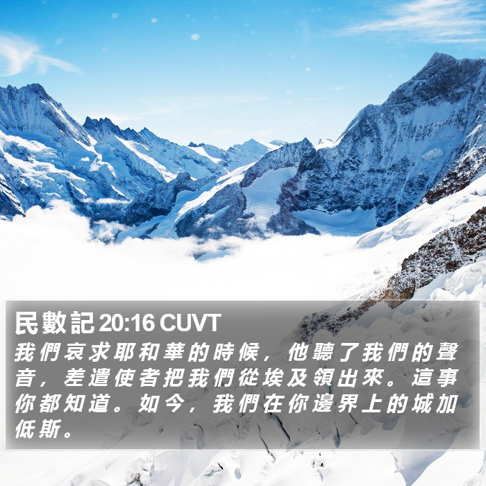 民 數 記 20:16 CUVT Bible Study