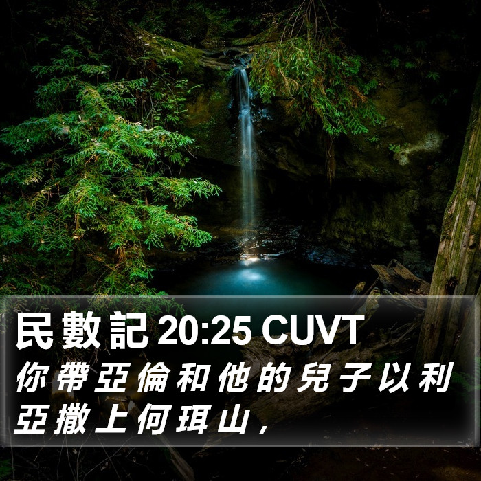民 數 記 20:25 CUVT Bible Study