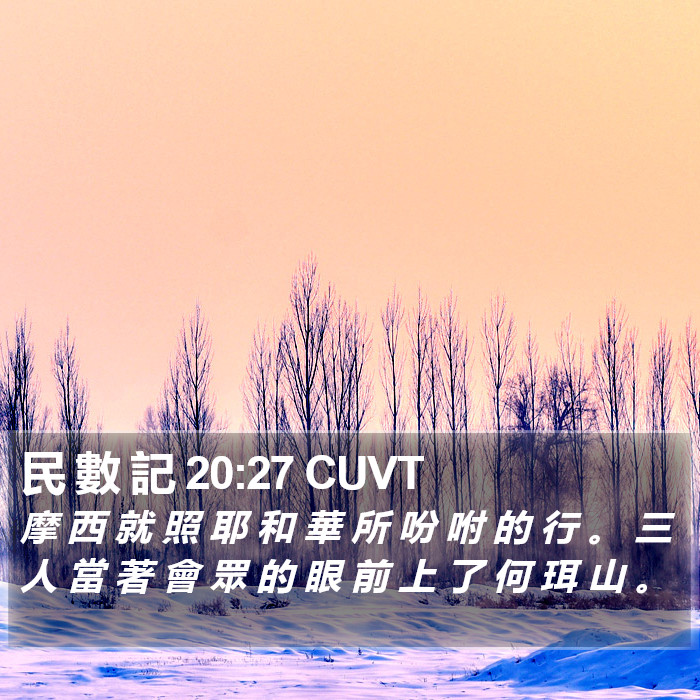 民 數 記 20:27 CUVT Bible Study