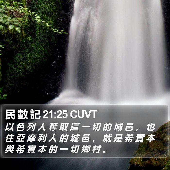 民 數 記 21:25 CUVT Bible Study