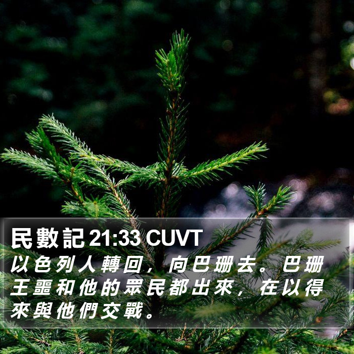 民 數 記 21:33 CUVT Bible Study