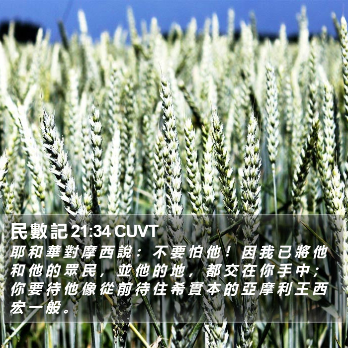 民 數 記 21:34 CUVT Bible Study