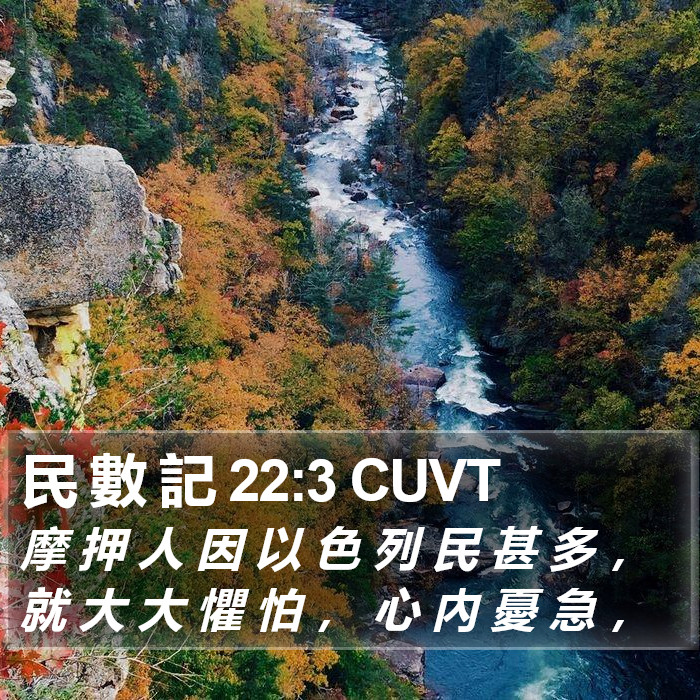 民 數 記 22:3 CUVT Bible Study