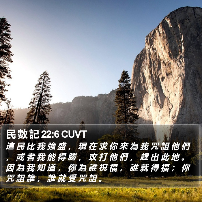 民 數 記 22:6 CUVT Bible Study