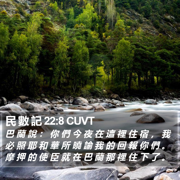 民 數 記 22:8 CUVT Bible Study