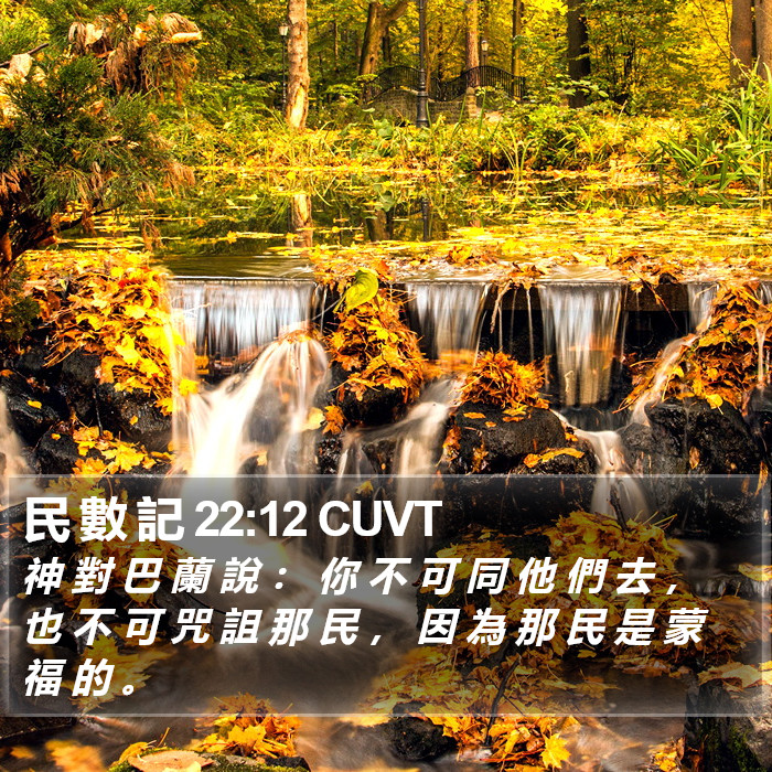 民 數 記 22:12 CUVT Bible Study