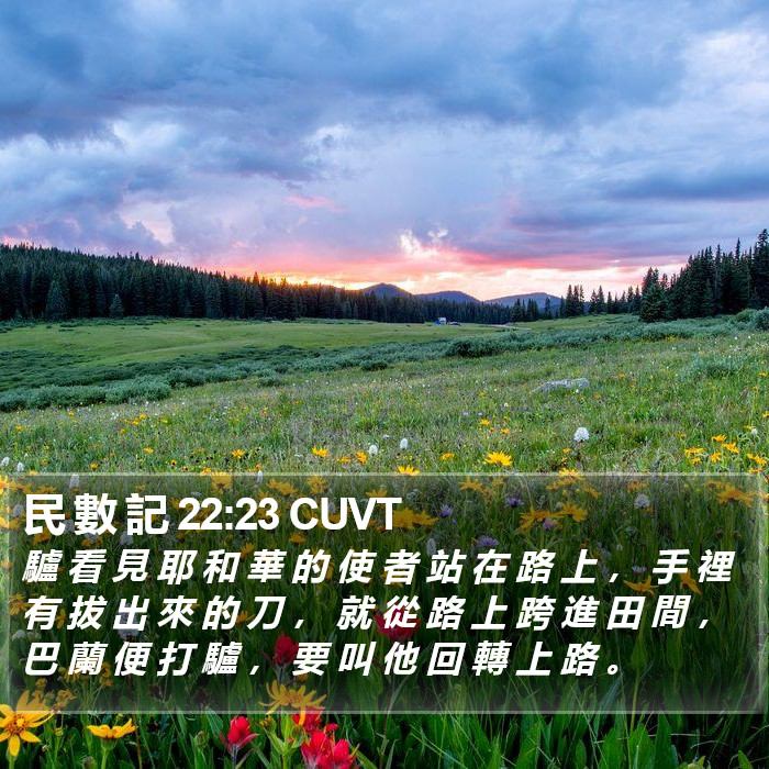 民 數 記 22:23 CUVT Bible Study
