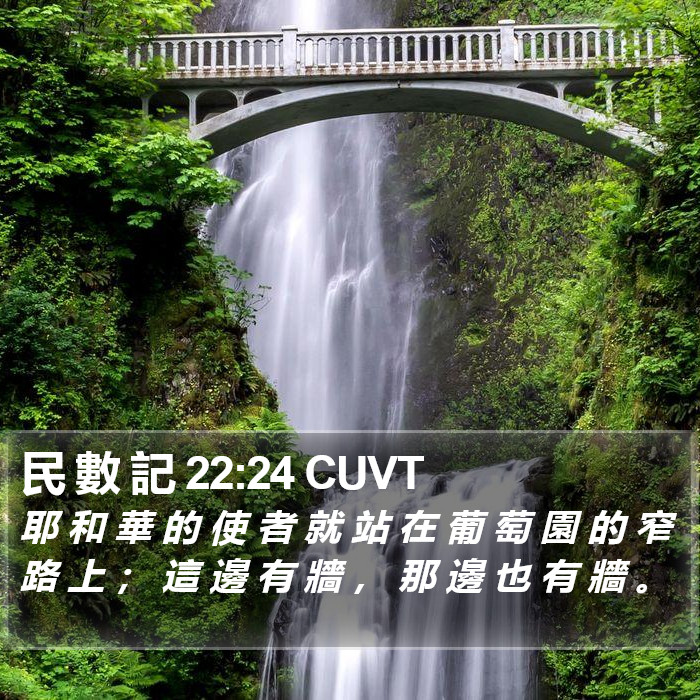 民 數 記 22:24 CUVT Bible Study