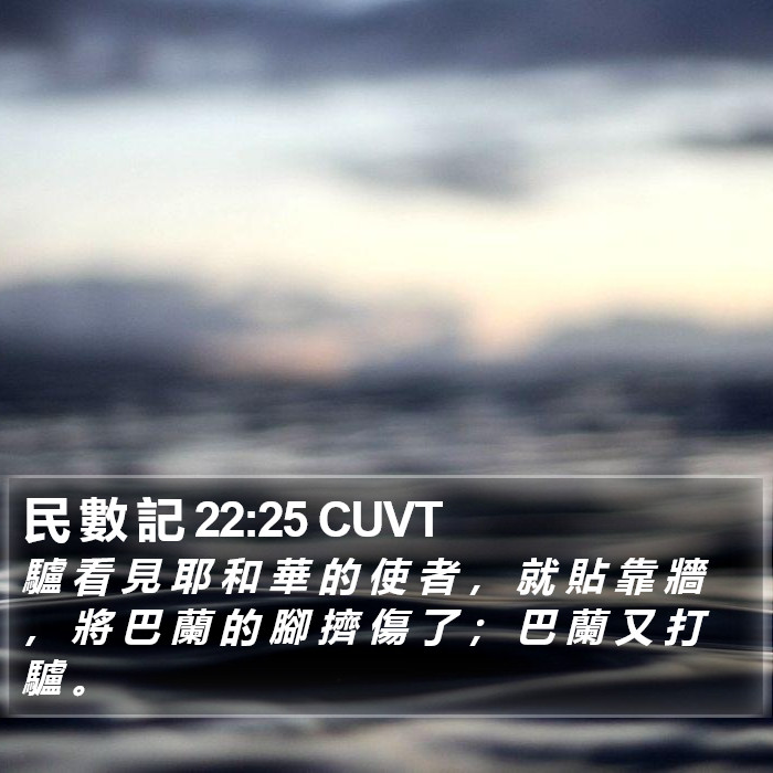 民 數 記 22:25 CUVT Bible Study