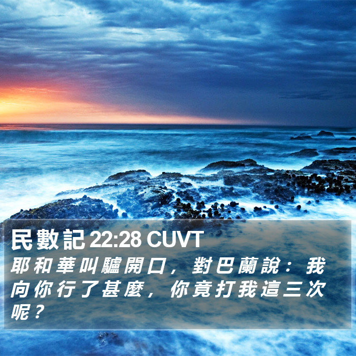 民 數 記 22:28 CUVT Bible Study