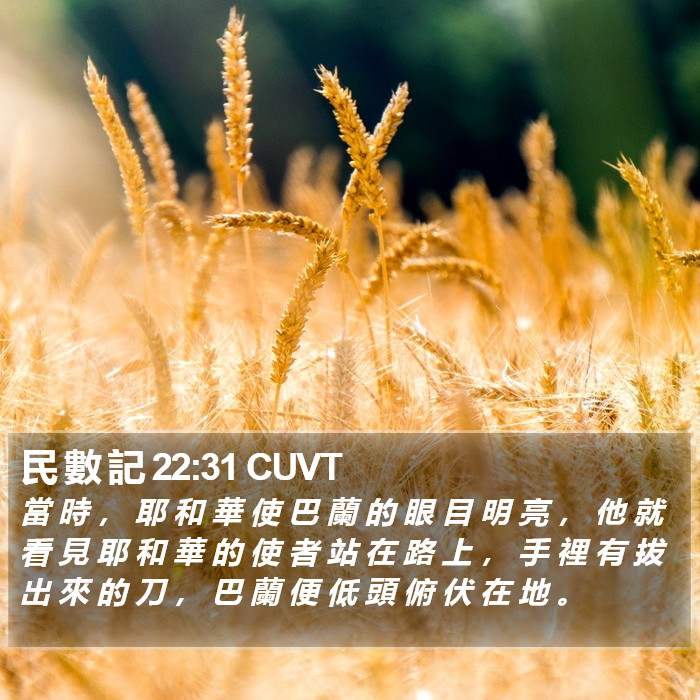 民 數 記 22:31 CUVT Bible Study
