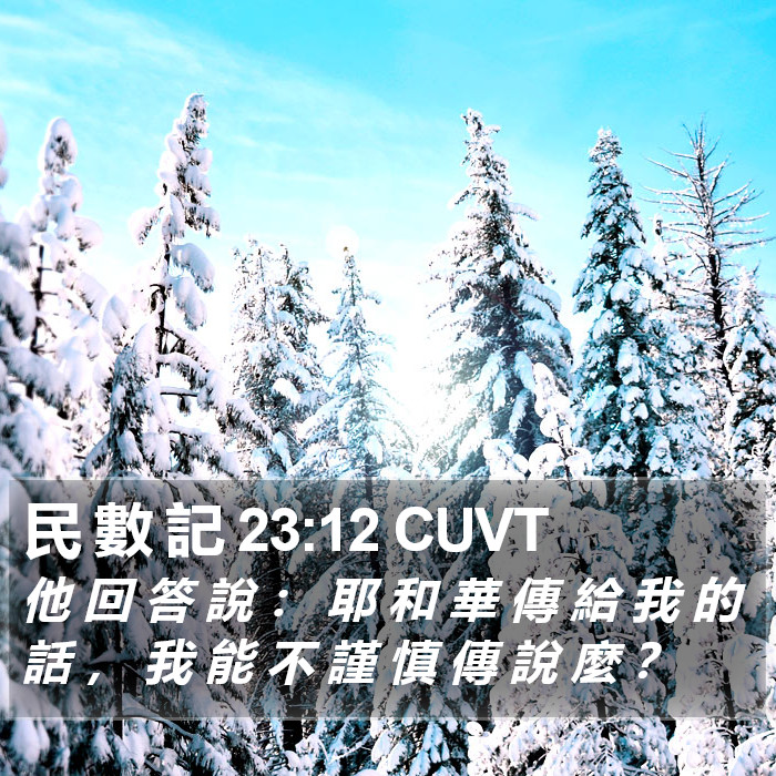 民 數 記 23:12 CUVT Bible Study