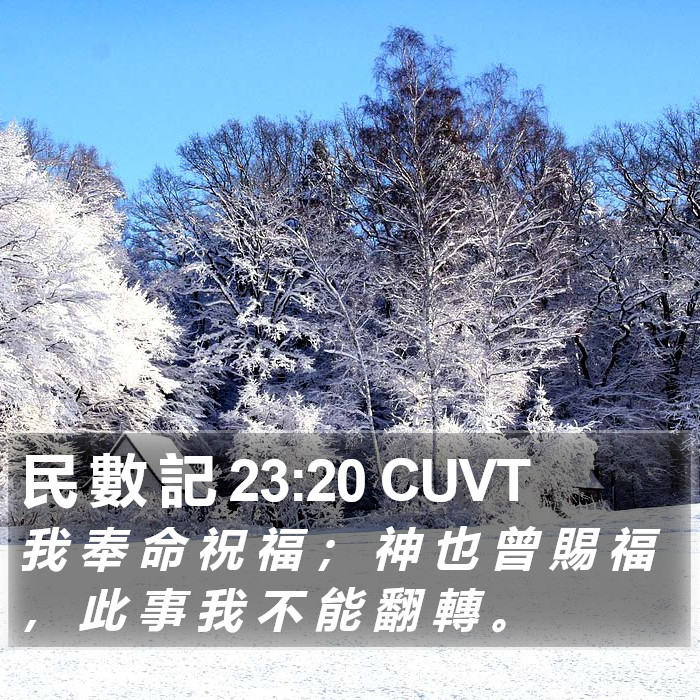 民 數 記 23:20 CUVT Bible Study