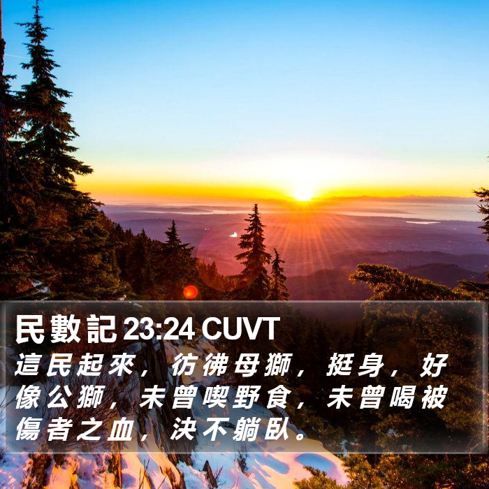 民 數 記 23:24 CUVT Bible Study